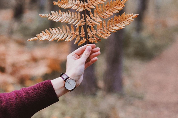 時尚腕表定制 深圳手表廠穩達時 (12)
