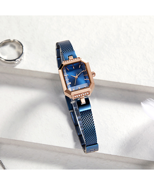 579ins輕奢韓版時(shí)尚網(wǎng)帶小巧女士手表廠家2021新款